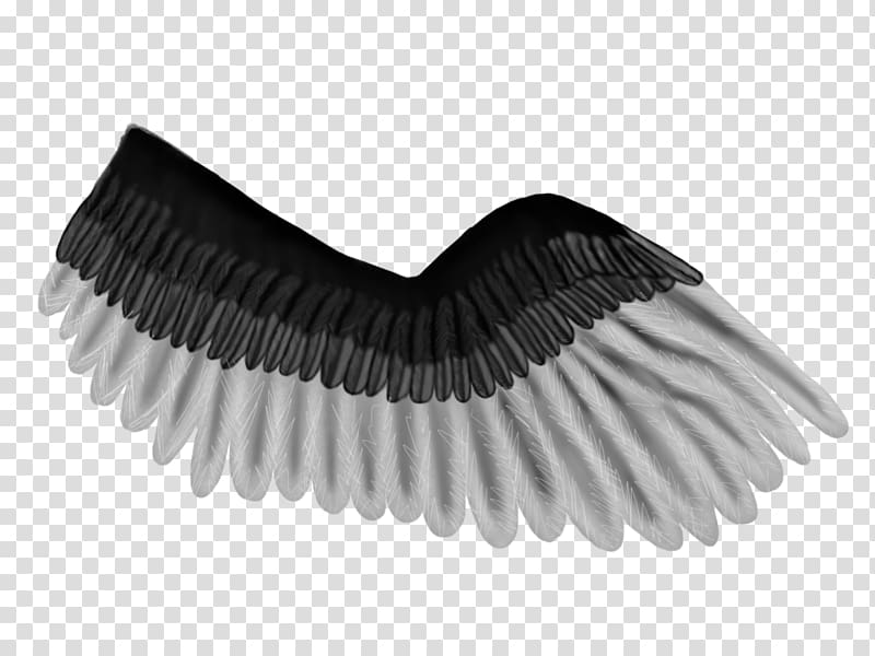 Brush Eyelash, pegasus wing transparent background PNG clipart