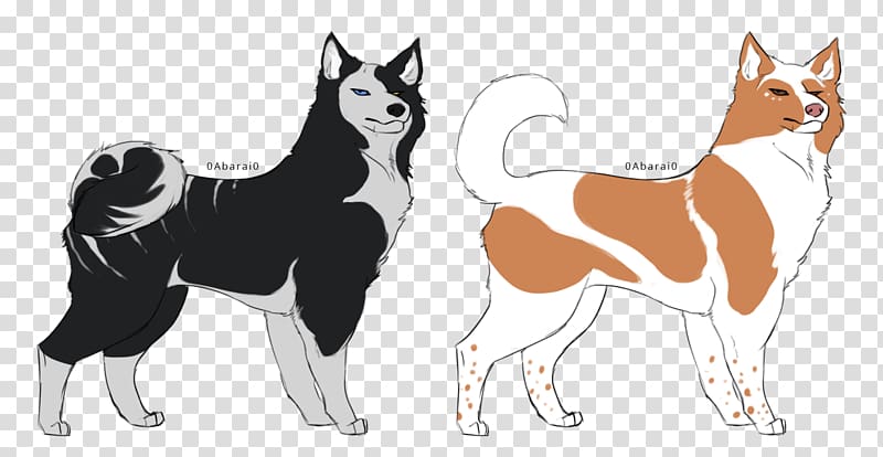 Dog breed Siberian Husky Shikoku Line art, husky transparent background PNG clipart