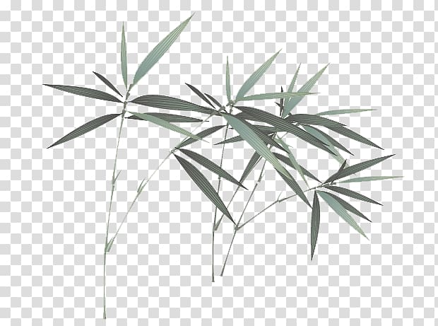 Towel Wet wipe Bamboo Disposable Shower, Hand-painted bamboo leaves elements transparent background PNG clipart