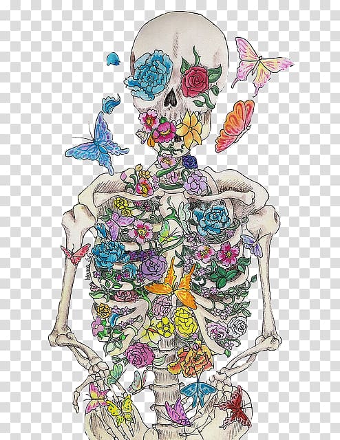 Human skeleton Anatomy Skull Bone, Skull flower transparent background PNG clipart