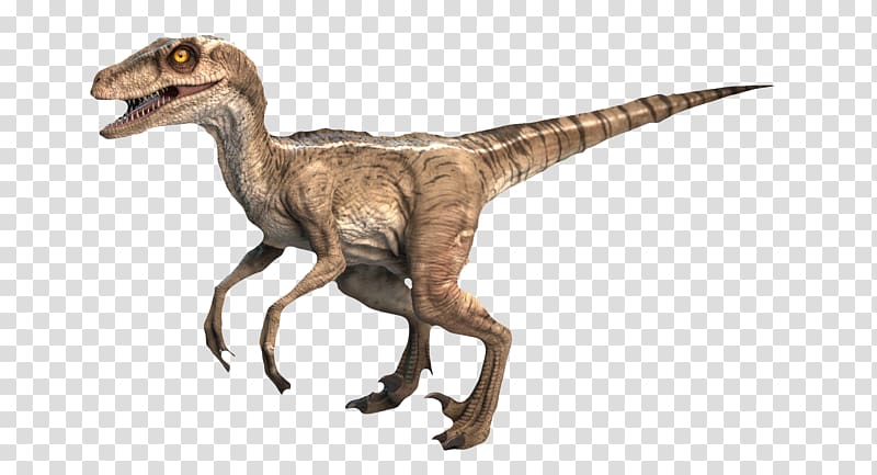 Combat of Giants: Dinosaurs 3D Velociraptor Tyrannosaurus