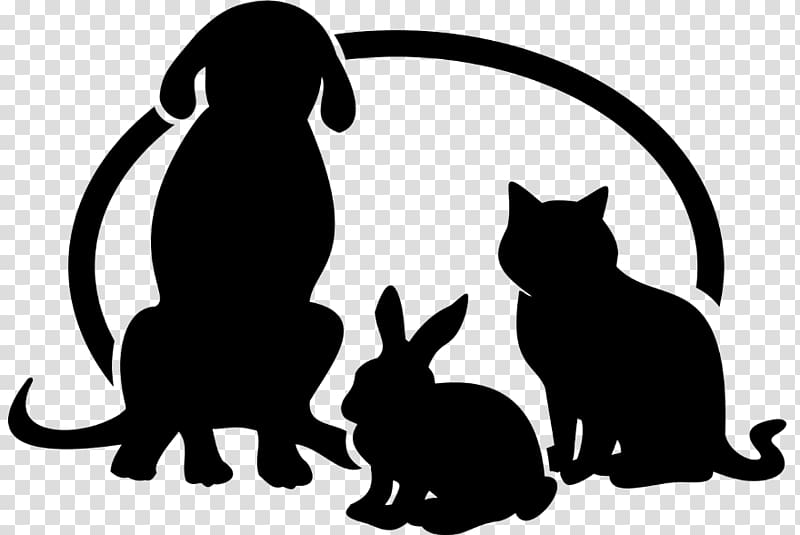 Kitten Black cat Dog Animal Kingdom Veterinary Hospital, kitten transparent background PNG clipart