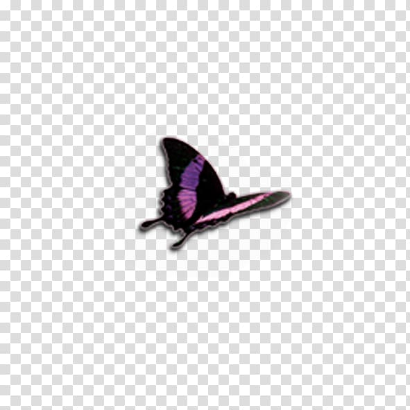 Butterfly Computer file, Red Butterfly transparent background PNG clipart