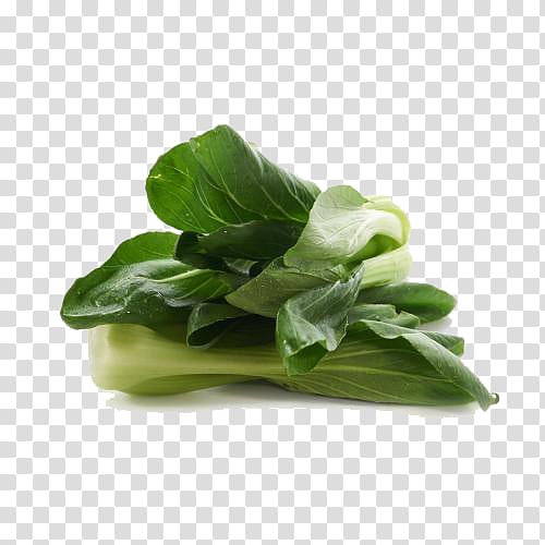 Choy sum Spinach Romaine lettuce Spring greens Leaf vegetable, Delicious cabbage transparent background PNG clipart