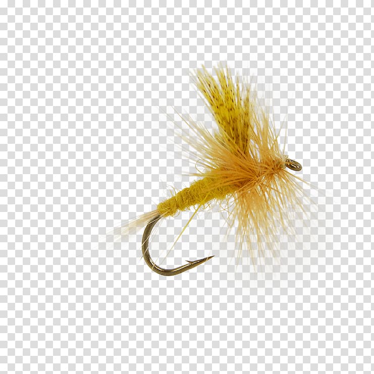 Artificial fly Insect Dry fly fishing Caddisflies, fly fishing dry flies transparent background PNG clipart