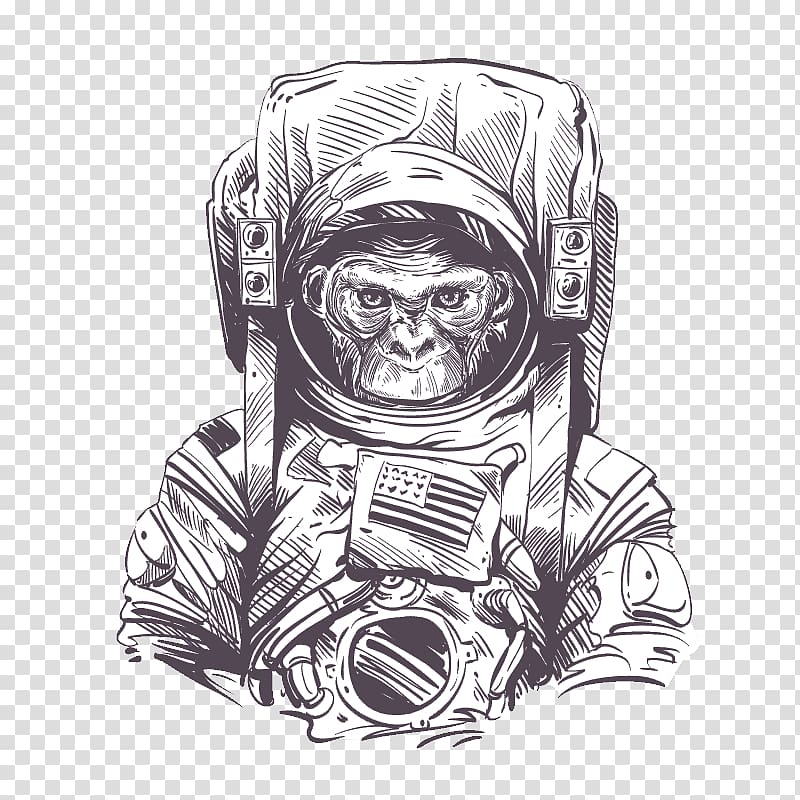 Space suit Astronaut Monkeys and apes in space Drawing, astronaut transparent background PNG clipart