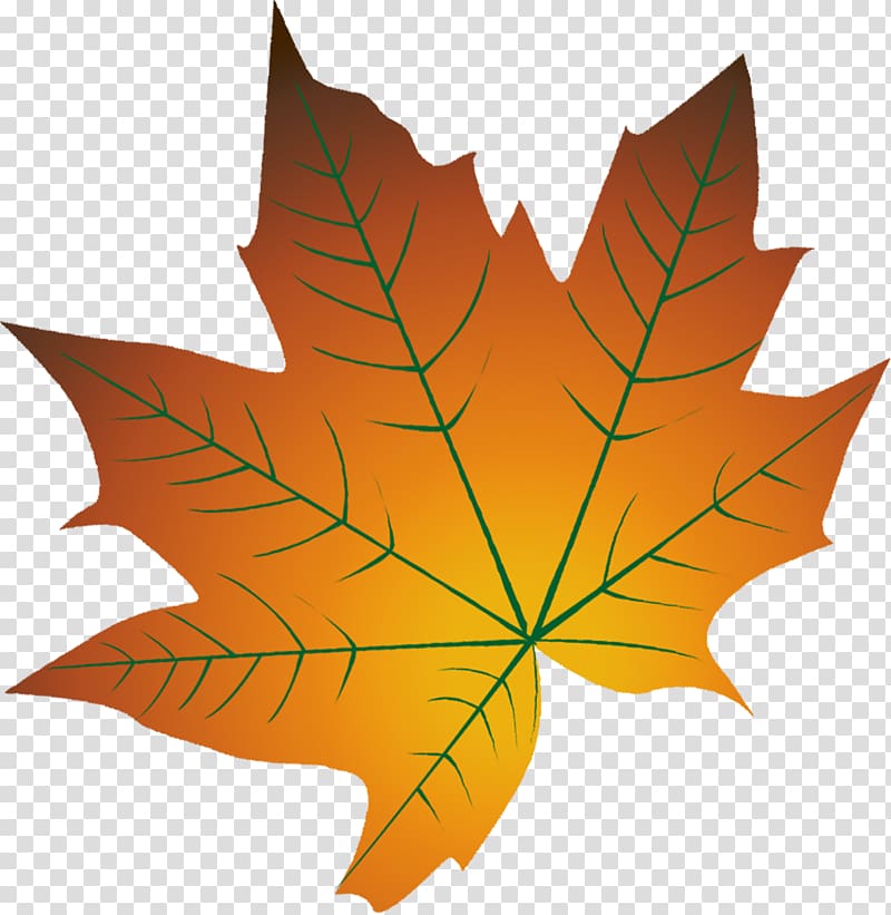 Autumn leaf color Cartoon Autumn leaf color, Cartoon autumn leaves yellow leaves of deciduous transparent background PNG clipart