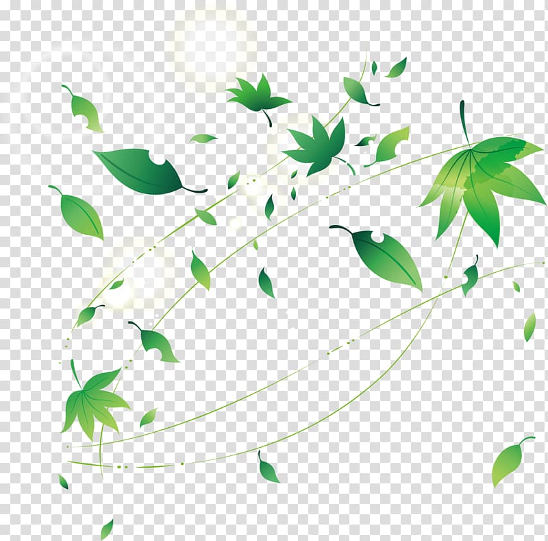 Leaf Adobe Illustrator, leaf transparent background PNG clipart