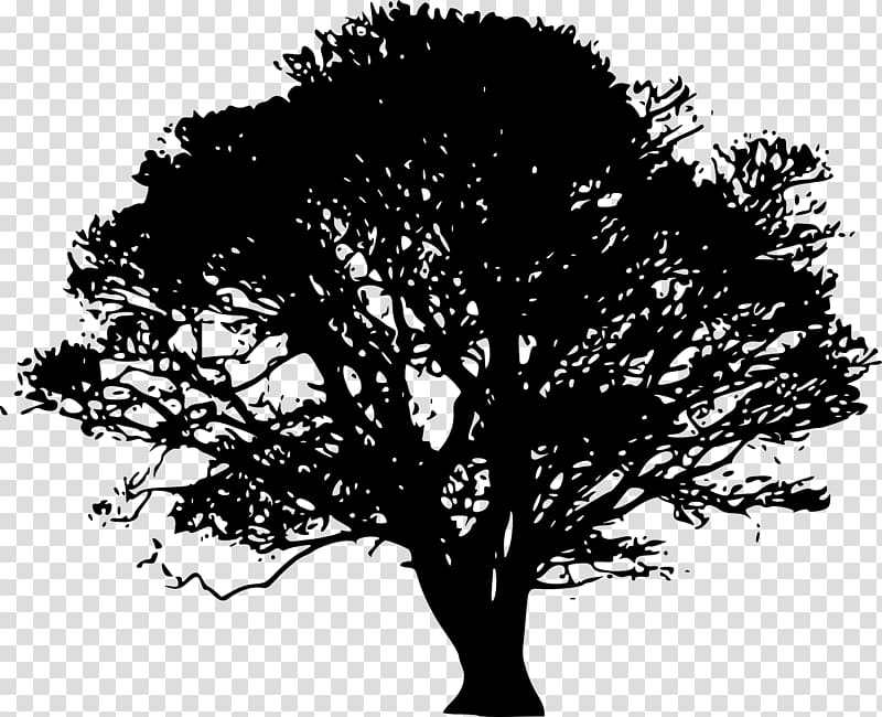 Tree Silhouette Oak , beautiful printing transparent background PNG clipart