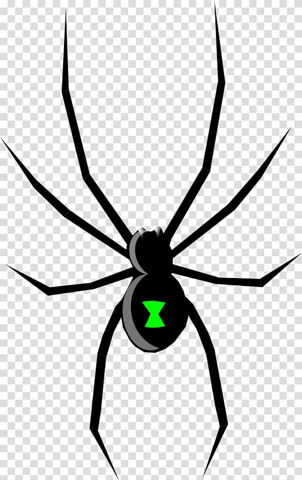 Black Widow Spider Drawing , Free Spider transparent background PNG clipart