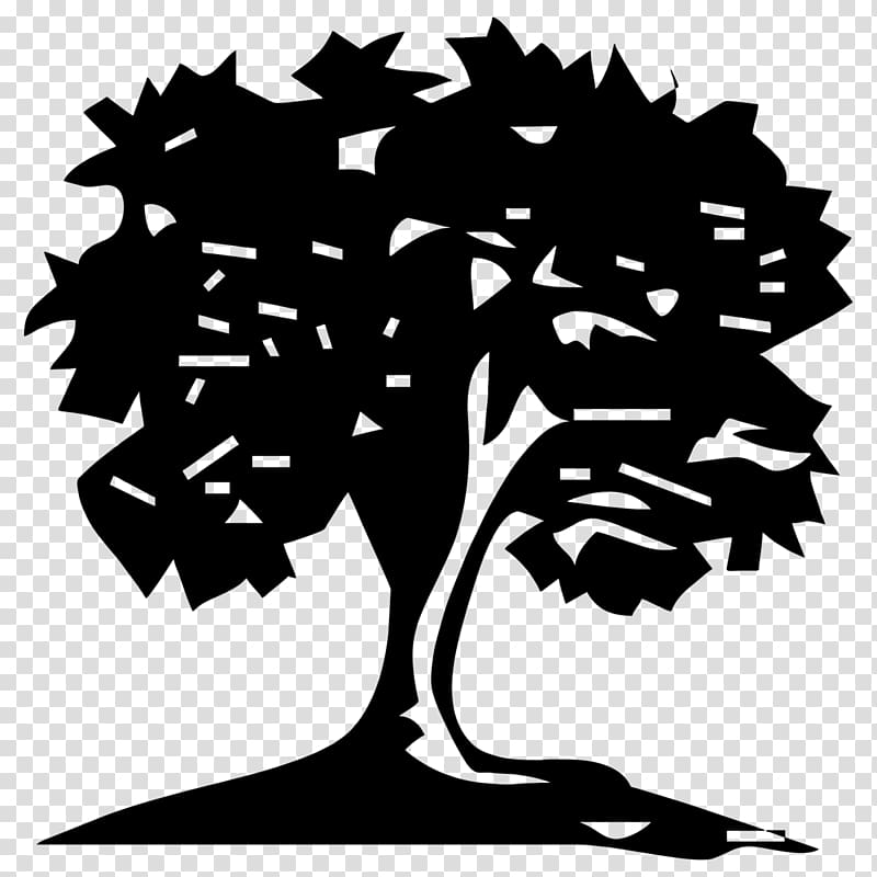 Tree planting Trunk Evergreen Hedge, tree transparent background PNG clipart