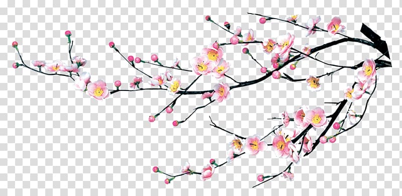 Cherry blossom Plum blossom, Ornament flower branch transparent background PNG clipart