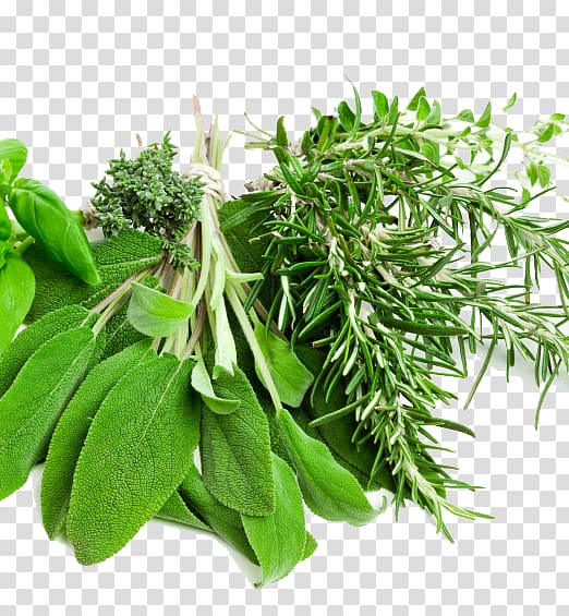 Herbalism Mediterranean cuisine Food Spice, olive oil transparent background PNG clipart