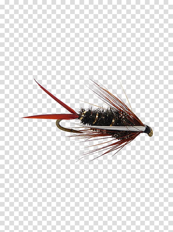 Emergers Artificial fly Nymph Insect Fly fishing, fly fishing flies transparent background PNG clipart