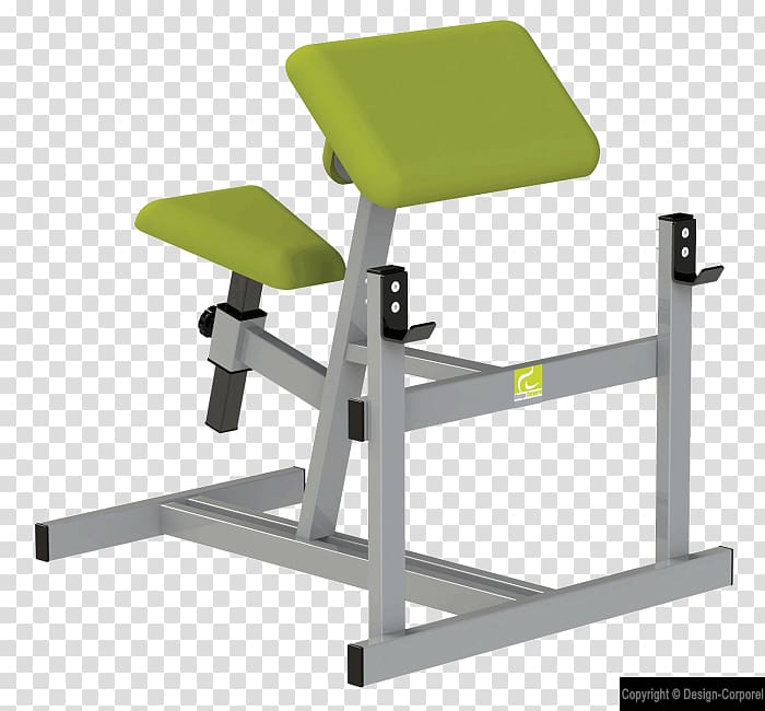 Weight training Biceps Weight machine Sport Bench, fitness abdo transparent background PNG clipart