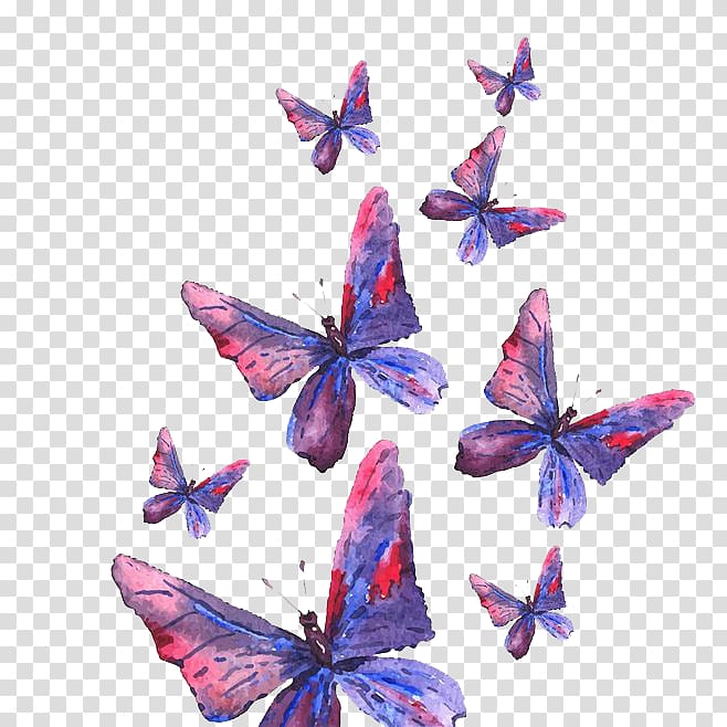 Butterfly, Purple Butterfly transparent background PNG clipart