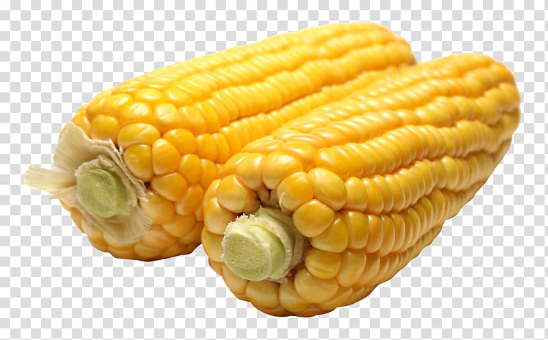 Maize file formats, Corn transparent background PNG clipart