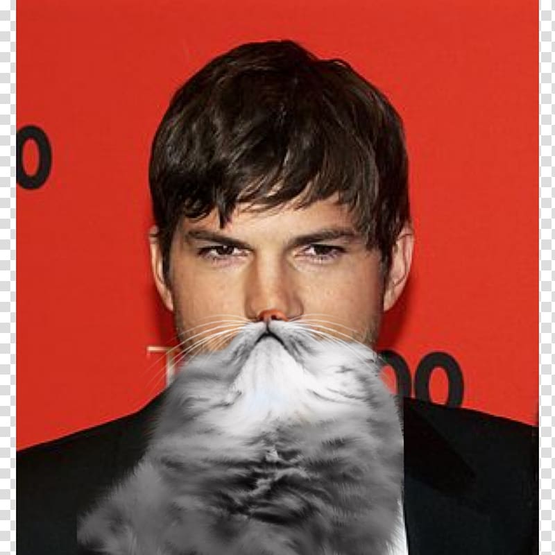 Ashton Kutcher Jobs United States Actor Michael Kelso, Beard transparent background PNG clipart