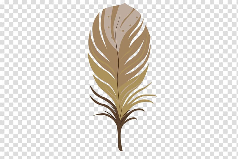 Feather Brown Color, Brown feathers transparent background PNG clipart