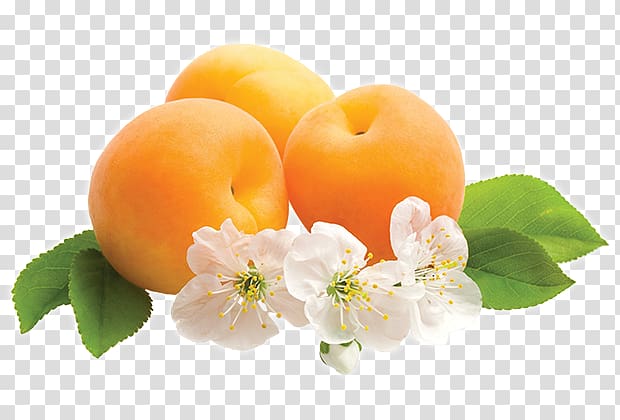 Desktop Fruit Flower Tangerine Apricot, Apricot Kernel transparent background PNG clipart