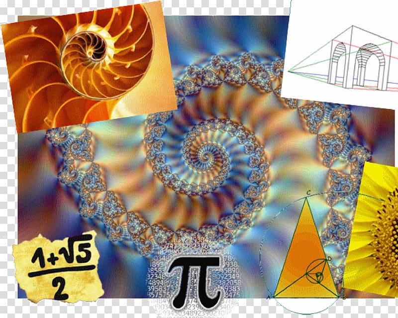 Nautilus Mathematics Fractal Sacred geometry Seashell, Mathematics transparent background PNG clipart