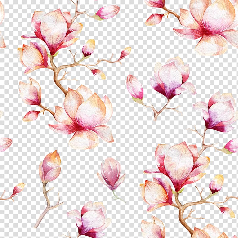 white and pink flower graphic art, Southern magnolia Watercolor painting , Pink flowers shading transparent background PNG clipart