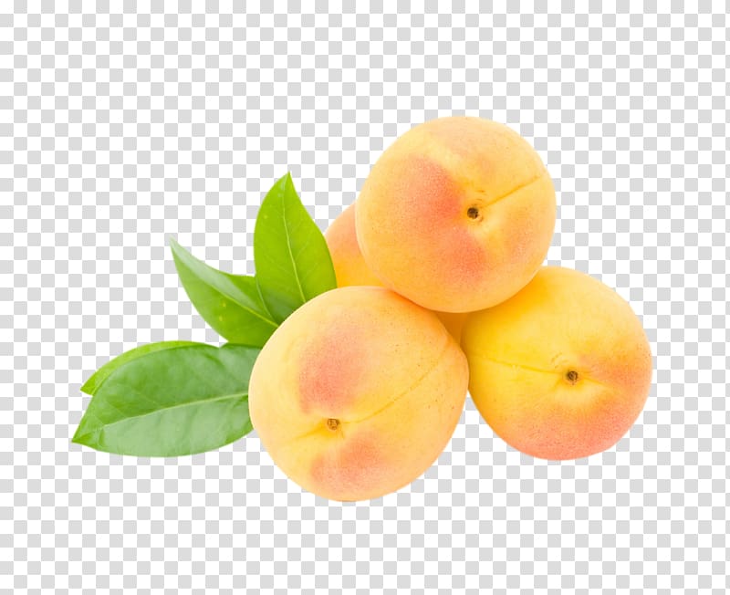Peach Nutrient Apricot Fruit Food, Apricots transparent background PNG clipart