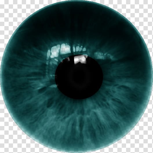 human green eye, Human eye Iris Contact Lenses, LENS transparent background PNG clipart