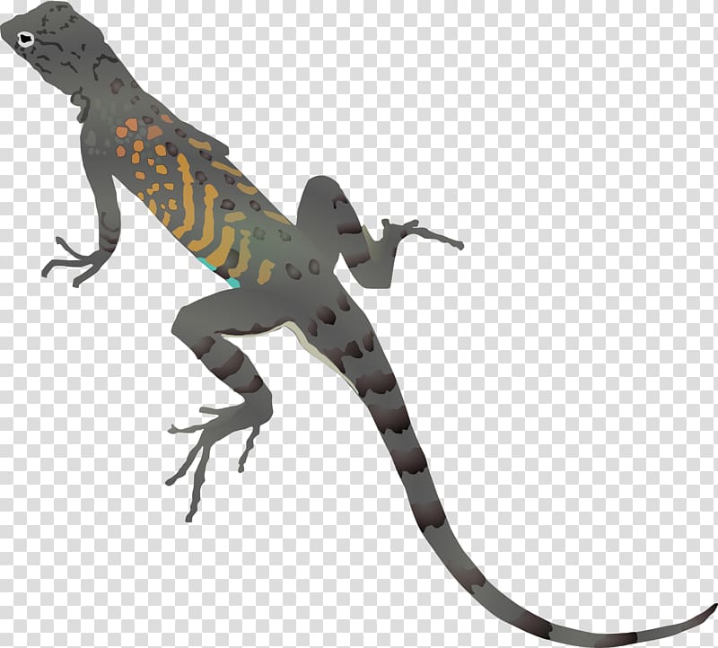 Lizard Chameleons Common Iguanas Komodo dragon , lizard transparent background PNG clipart