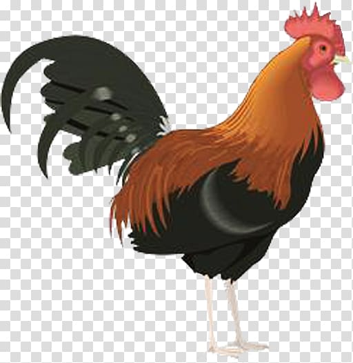 Rooster , others transparent background PNG clipart