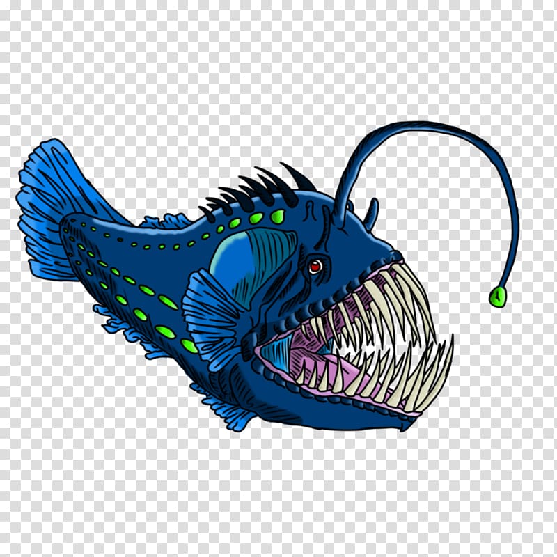 Anglerfish Drawing , fish transparent background PNG clipart