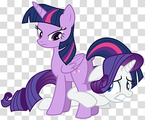 Rarity Pony Twilight Sparkle Rainbow Dash Pinkie Pie, wtf. transparent background PNG clipart thumbnail