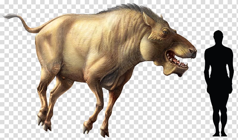 Tyrannosaurus Wild boar Daeodon Carnivorous Animals Carnivore, extinct animal transparent background PNG clipart