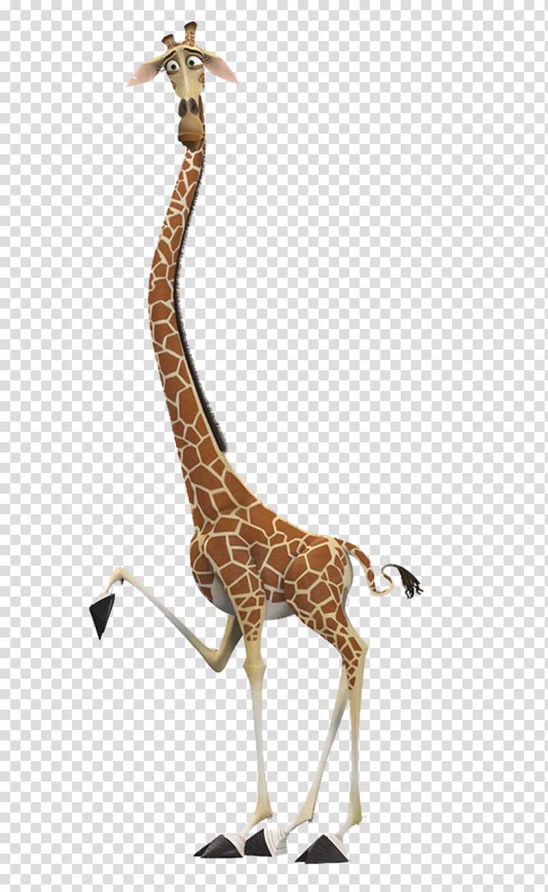 Madagascar Melman illustration, Melman Gloria Alex Giraffe Madagascar, giraffe transparent background PNG clipart