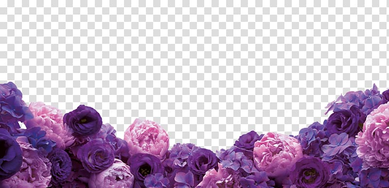 purple petaled flowers, Floral design Cut flowers Purple , Purple flowers transparent background PNG clipart