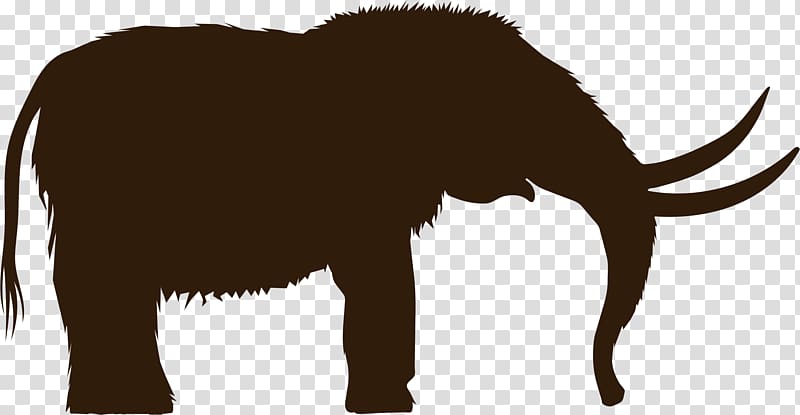 Woolly mammoth Mastodon African elephant , elephant illustration transparent background PNG clipart