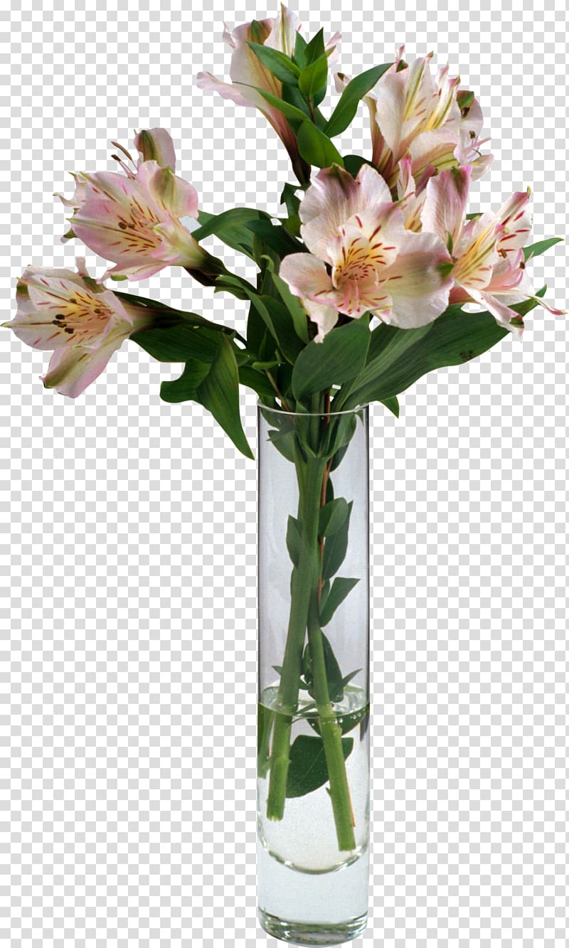 Cut flowers Floral design Plant, waterflower transparent background PNG clipart