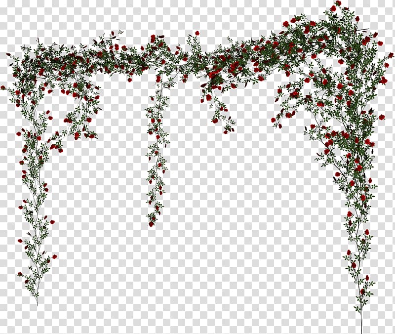 jungle vines png