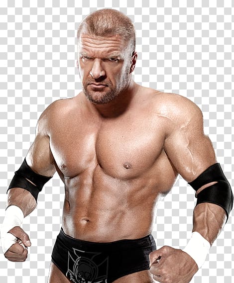 Triple H WWE \'13 World Heavyweight Championship WWF Superstars of Wrestling Professional Wrestler, triple h transparent background PNG clipart