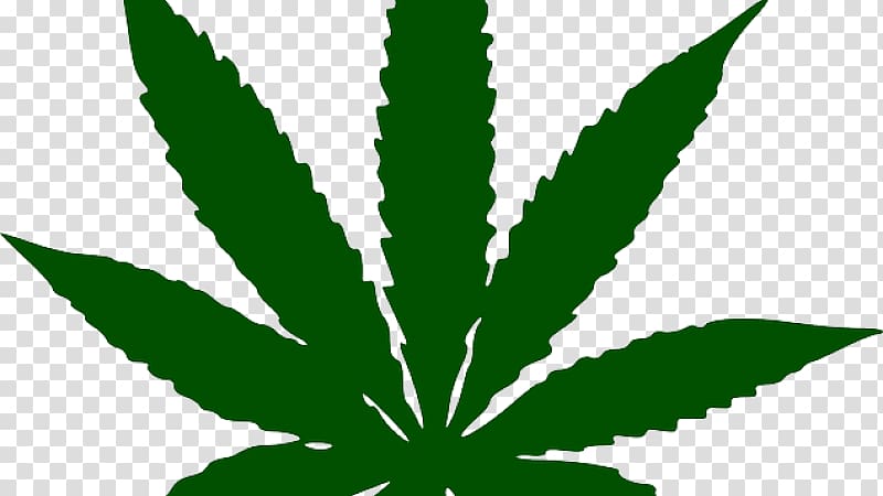 Cannabis sativa Medical cannabis , Health Cannabis Leaf Chart transparent background PNG clipart