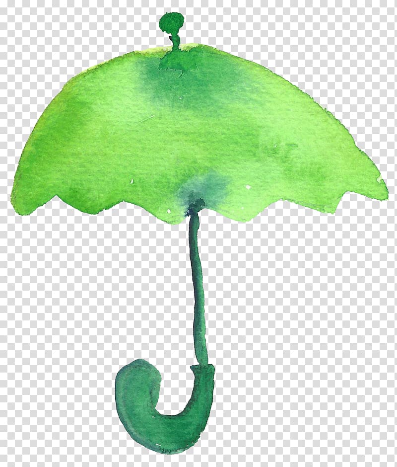 Cartoon Drawing, Green Umbrella transparent background PNG clipart
