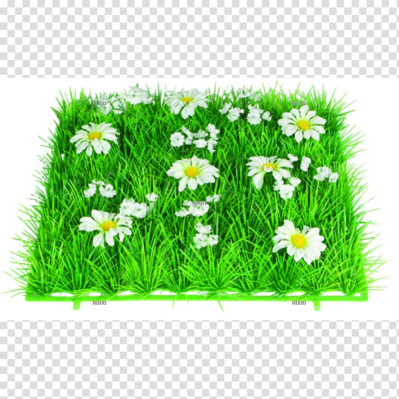 Lawn Grass Artificial turf Grasmatte Groundcover, grass transparent background PNG clipart