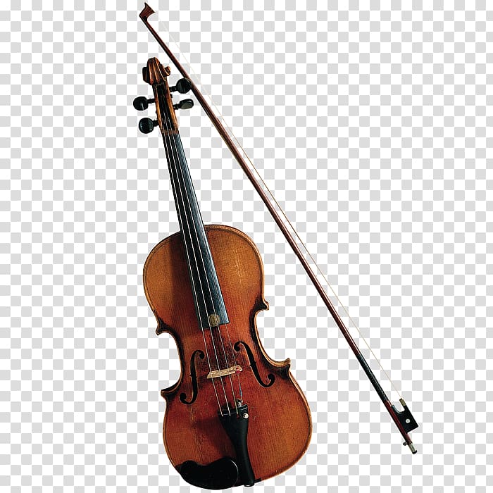 Bass violin Violone The Classical Music Quiz Book, violin transparent background PNG clipart