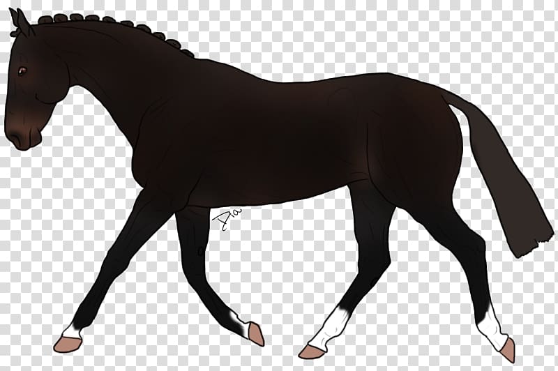 Mustang Stallion Appaloosa Mare Rein, mustang transparent background PNG clipart