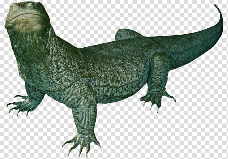 Komodo dragon Lizard Desktop , lizard transparent background PNG clipart