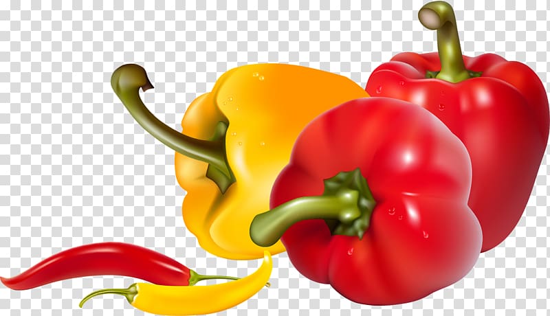 Chili pepper Bell pepper Red curry Black pepper, black pepper transparent background PNG clipart