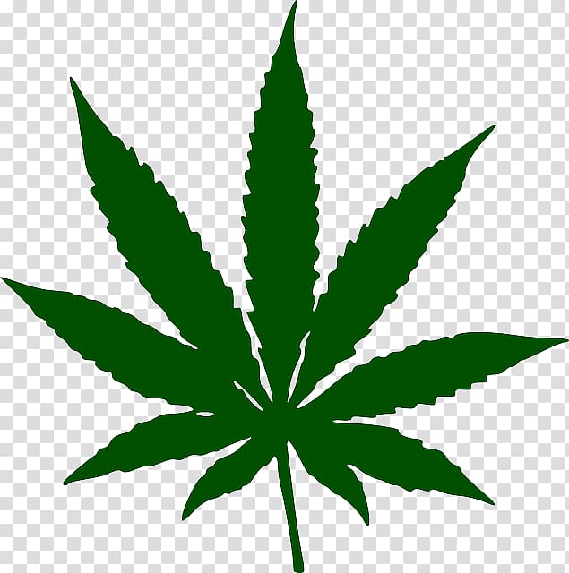 Cannabis transparent background PNG clipart | HiClipart