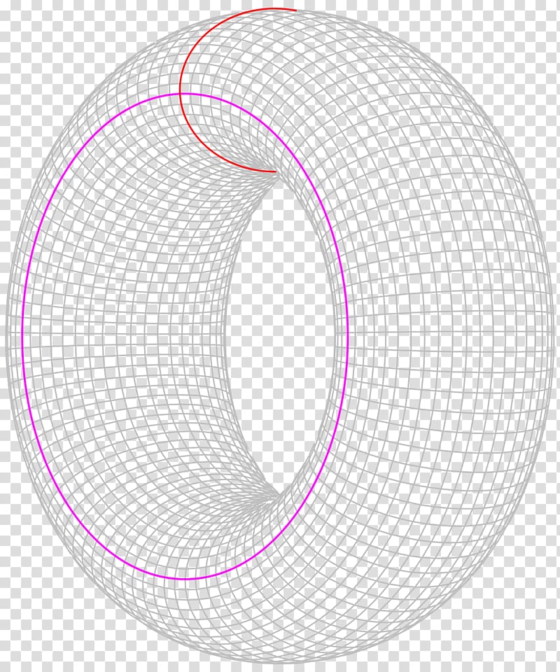 Torus Mathematical problem Circle Mathematics Collatz conjecture, circle transparent background PNG clipart