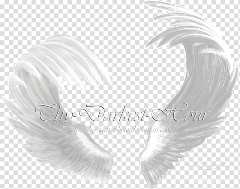 Wing Angel , angel wing transparent background PNG clipart