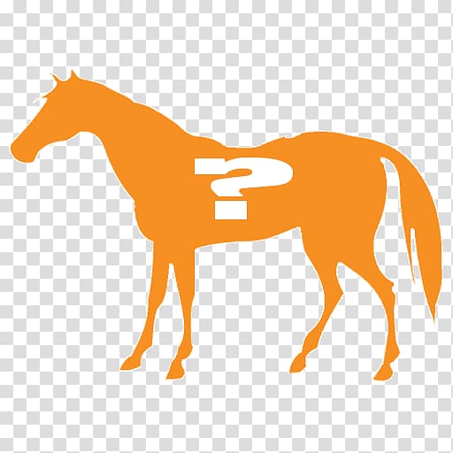 Arabian horse Mustang Andalusian horse Mare Morgan horse, mustang transparent background PNG clipart